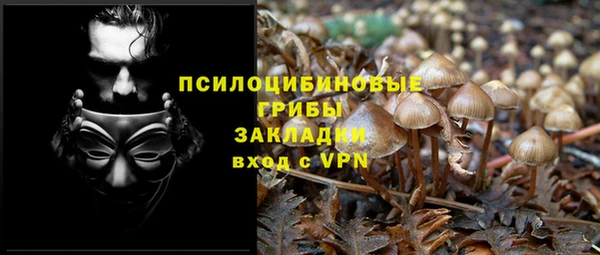 MESCALINE Надым
